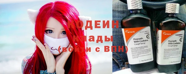 дживик Абаза