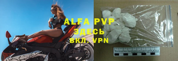 прущие грибы Абдулино