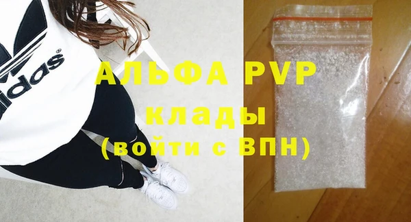 прущие грибы Абдулино