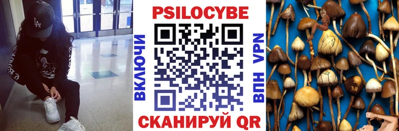 mega ТОР  наркота  Мосальск  Галлюциногенные грибы Psilocybine cubensis 